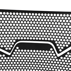 Accessoires de moto, grille de protection du radiateur pour <span class=keywords><strong>BMW</strong></span> F900R, protection du radiateur, couvercle F900R SE F900 <span class=keywords><strong>R</strong></span> F900 <span class=keywords><strong>R</strong></span> SE 2020 <span class=keywords><strong>2021</strong></span> F <span class=keywords><strong>900</strong></span> <span class=keywords><strong>R</strong></span> - Product Image 5