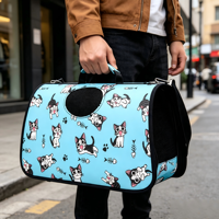 Sac de transport pliable tout-en-un pour animaux de compagnie (chiens et chats) en nylon rigide et respirant, capacité 5 kg, pour l'extérieur