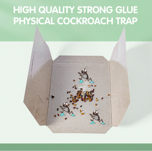 Nhà kiểm soát dịch hại gián bẫy với keo dính Hội Đồng Quản trị hiệu quả côn trùng Catcher cho dế thân thiện với môi trong nhà kiểm soát dịch hại - Product Image 6