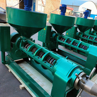 Grote Capaciteit 20T/Dag Oliepersmachine Goedkope Schroef Olie Exaction Machine