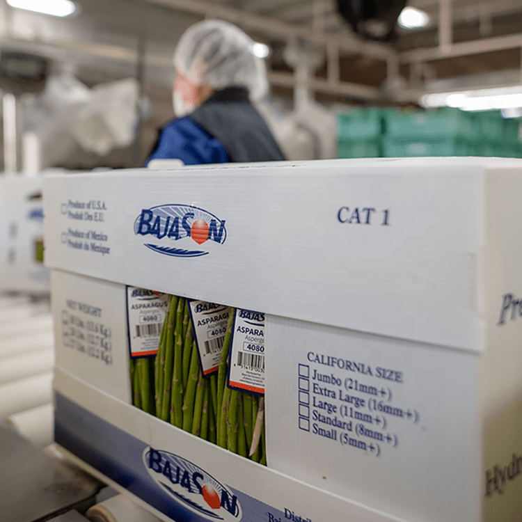 Vegetable and Fruit Box Asparagus Grape