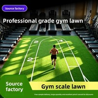 Gazon artificiel en PVC pour gymnases, terrains de football et de soccer avec marquages à motifs pour usage intérieur
