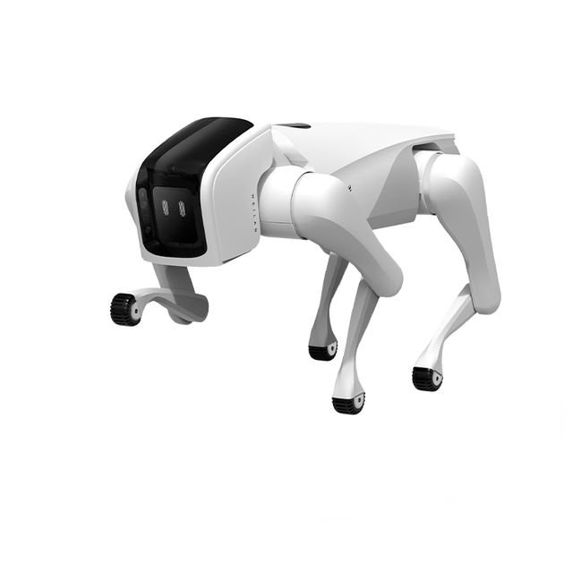 AlphaDog C500 C501 Bionic Quadruped Robot Sports & Entertainment Technology Electronic Dog Intelligent Bionic Companion Robot