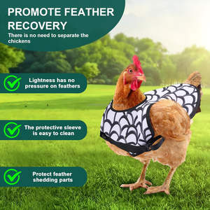 Selles de poulet réglables Tabliers de protection respirants pour poulet Vêtements de poule Gilet imperméable Selles de poulet pour volaille - Product Image 4