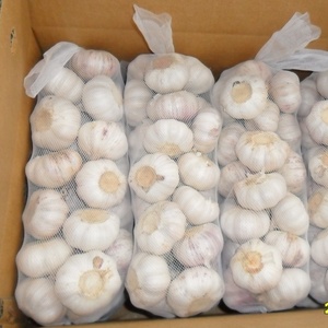 Vente chaude d'ail blanc frais de Chine, prix de l'ail 1 kg à vendre au <span class=keywords><strong>Bénin</strong></span> et au Togo - Product Image 6