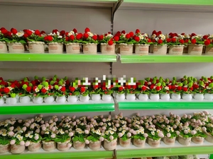 Fleur Artificielle Tricotée à la Main Tulipes Plantes en Pot <span class=keywords><strong>Amigurumi</strong></span> Fleurs Bouquet Artisanat Fait à la Main Jamais Flétrissement Fleur Éternelle - Product Image 6