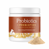 Fabricant professionnel de poudre de probiotiques pour chiens - Santé digestive, digestion sensible, absorption rapide, 1 g/unité, compléments alimentaires
