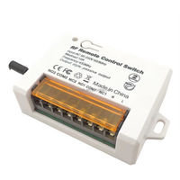 Interruptor de Control Remoto Inalámbrico de 2 Canales, Relé RF CA 240V 220V 10A, Receptor de Relé, Interruptor de Control Remoto para Puerta de Garaje