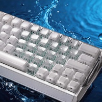 Keycaps transparents ABS+PC Lake Water profil MDA compatibles avec les interrupteurs MX Wooting 60HE V2/80HE/claviers mécaniques