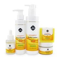 Nhãn Hiệu Riêng Khuôn Mặt Mới Sản Phẩm Chăm Sóc Da Cơ Thể Hữu Cơ Tự Nhiên Vitamin C Chăm Sóc Da Set