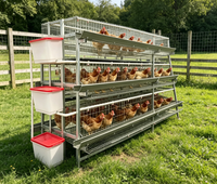 Cage à poules pondeuses galvanisée de type H à 4 niveaux, 4 portes, en treillis métallique durable
