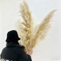 Rumput Pampas Bulu Besar Berkualitas Tinggi Ramah Lingkungan, Ketinggian Lebih dari 120cm, Grosir, untuk Dekorasi Interior Acara, Gaya Boho