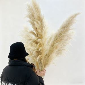 Herbe de la Pampa Séchée de Haute Qualité, Écologique, Grande et Moelleuse, Plus de 120 cm, pour Décoration Bohème et Aménagement Intérieur d'Événements, Vente en Gros - Product Image 3