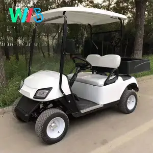 Fancy Lithium Battery Body Kit Tow bar Electric Dc Brushless Electric Buggy Wheel Motor per scooter elettrici Golf Cart