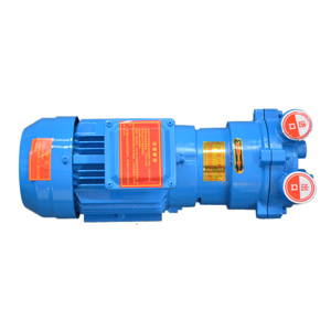 Boyuuan 2BV loạt máy nén khí vòng Nước Bộ phận công nghiệp Bơm ly tâm không dầu với máy bơm công nghiệp điện xoay chiều 380V - Product Image 4