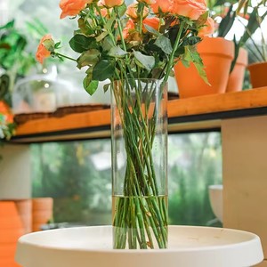 <span class=keywords><strong>Vase</strong></span> à fleurs cylindrique transparent en acrylique, incassable, <span class=keywords><strong>grand</strong></span> <span class=keywords><strong>vase</strong></span> en plastique pour centres de table de mariage, décoration hydroponique - Product Image 3