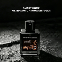 Diffuseur d'arômes pour voiture, parfum léger longue durée, portable, pulvérisation automatique intelligente, ultrasonique, alimenté par USB, grande capacité de 500 ml