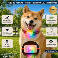 G63 Grosir Pabrik Pelacak GPS Hewan Peliharaan 4G dengan Lampu LED Warna-warni, Pelacakan Lokasi Langsung, dan Fungsi GEO Fence untuk Anjing Kucing