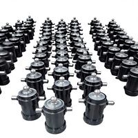 Vérin hydraulique en acier à simple effet avec roulement pour mini-dumper télécommandé, pression 250 bars, certifié CE