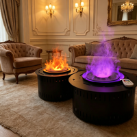 Insert de cheminée électrique 3D à vapeur d'eau avec télécommande WiFi, flamme LED, économie d'énergie, remplissage manuel d'eau personnalisable, pour intérieur