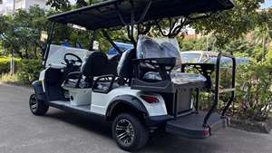 Véhicule de tourisme populaire Borcart Bus touristique électrique et voiture voiturettes de golf personnalisation de voiture vintage voiture de tourisme - Product Image 4