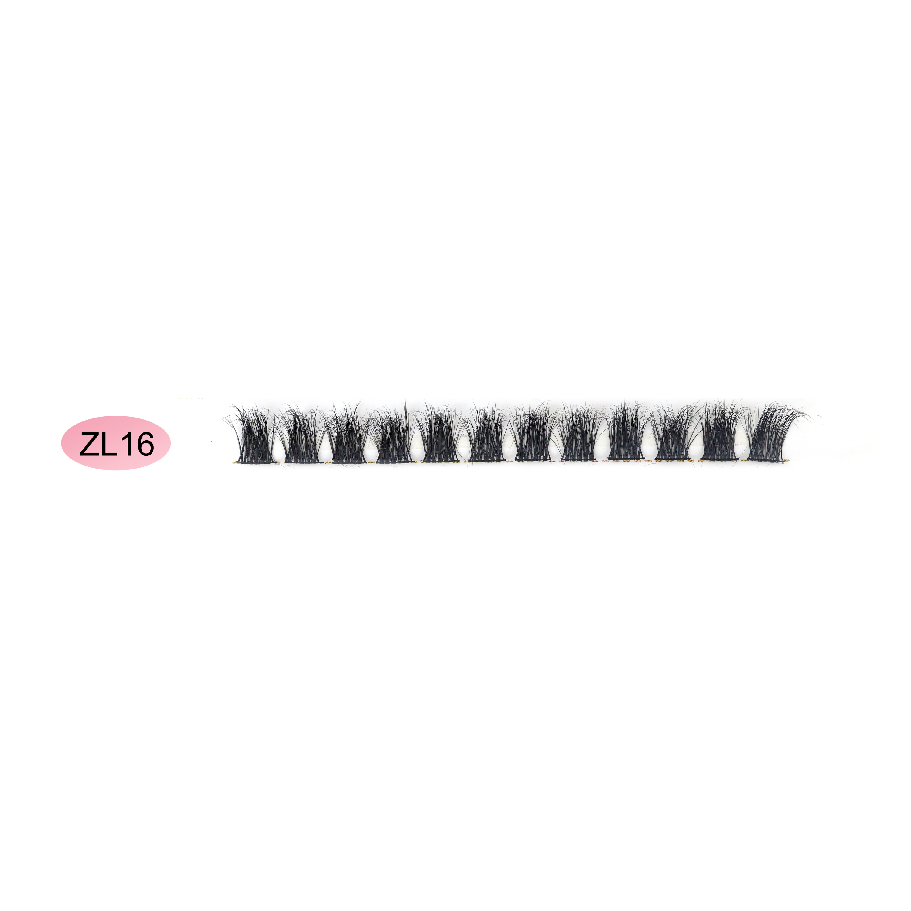 ZL16