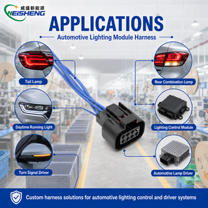 Kabel Diagnostik OBD Kustom CAN Bus ECU Sensor Pengambilan Data Harness OEM - Product Image 2