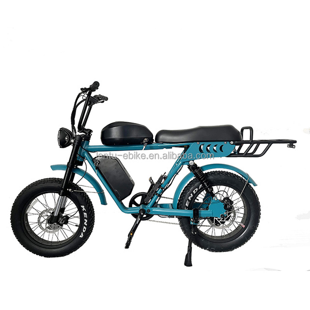 Customized Electric Bike 1000w Dual Battery Full Suspension MTB 48v Ebike