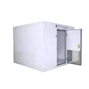 Customize Cold Storage Room Ultra-low Temperature Freezers Provided Container Restaurant for Sale Sustainable Engine Room Doors