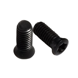 Viti Torx T10 6-48 in Acciaio Ossidato Nero con <span class=keywords><strong>Testa</strong></span> <span class=keywords><strong>Svasata</strong></span> per Mirini e Ottiche - Product Image 1