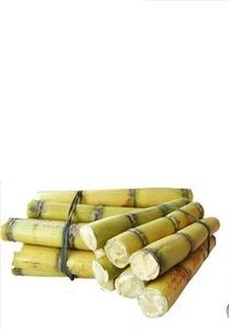 サトウキビエキスPolicosanol粉末<span class=keywords><strong>Octacosanol</strong></span>粉末 - Product Image 5