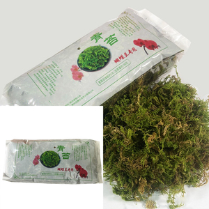 56H orchidée sol spécial mousse de mousse sèche mousse naturelle pure Phalaenopsis nutriment reptile <span class=keywords><strong>tortue</strong></span> pad matériel dendrobium plantation - Product Image 4