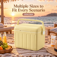Mini-réfrigérateur portable 6L : Conception compacte pour les marques d'accessoires de voyage