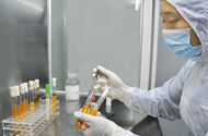 <span class=keywords><strong>400</strong></span> Miljard Cfu/G Probiotische Oem Probiotische Probiotica In Bulk Gevriesdroogde Streptococcus Salivarius Subsp. Thermophilus ST-G30 - Product Image 5