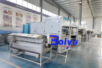 Baiyu commerciële fruitstoomschilmachine voor de verwerking van druivenproducten met hygiënisch ontwerp