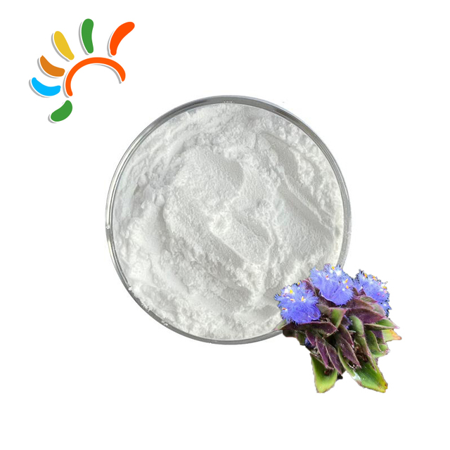 Bulk Price 95% 98% Beta Ecdysterone Powder CAS 5289-74-7 Natural Dew Grass Cyanotis Arachnoidea Extract for Sale