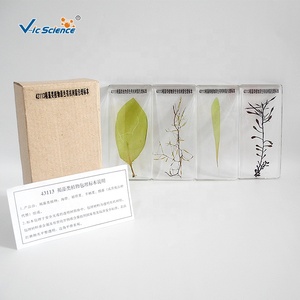 Espécimen de incrustación de bloques de Lucite transparente, espécimen de resina transparente, espécimen incrustado de resina de algas marrones - Product Image 2