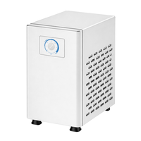 Refroidisseur d'eau sous évier, usage commercial et domestique, eau glacée, acier inoxydable, système RO 220W, mini refroidisseur d'eau