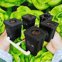 Systèmes de culture hydroponique en serre 27L 4 pièces, modèle DWC-04, seaux hollandais en plastique PP, fournitures de jardinage durables 5 ans