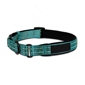 Adventure <strong>Martingale</strong> <strong>Dog</strong> <strong>Collar</strong> With Reflective Stitching Neoprene Padding - Product Image 1
