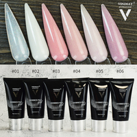 Kit de Gel Poly Scintillant Vinimay en Gros – Gel de Construction pour Ongles, Vernis Gel Poly Acrylique Pailleté à Marque Privée