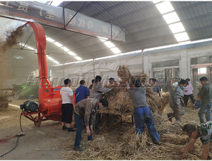 Fodder Chaff Cutter <b>Machine</b> for Dairy Farm Hay Straw Forage Chopper Animal <b>Feed</b> Milling Crushing <b>Machine</b> - Product Image 3