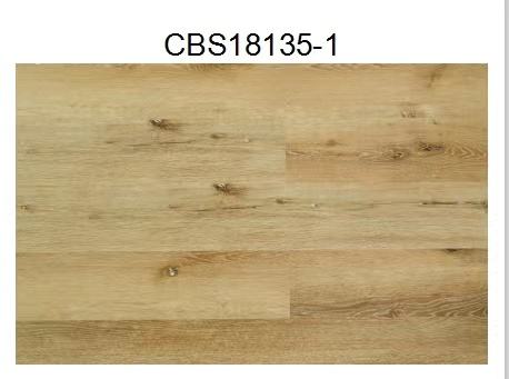 CBS18135-1