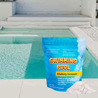 Augmenteur d'alcalinité pour piscine, bicarbonate de sodium, poudre de pH, régulateur de pH, produits chimiques pour piscine