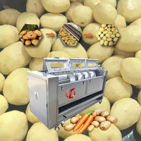 Automatische Groenteborstelreiniger Dunschiller Voor Wortelaardappelgember