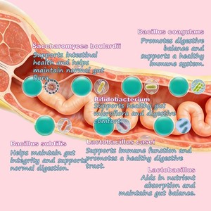 Pevet Suplemento Probiótico Masticable para la Salud Digestiva y las Alergias Estacionales en Perros - Cuidado de la Salud de las Mascotas - Product Image 5