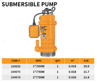 Pompe à eau submersible double usage DingQi 0,5 CV 1 CV 2 CV 2 pouces à grand débit, anti-colmatage, pour l'irrigation agricole et les eaux usées de construction