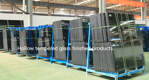 Vidrio Aislante de Doble Acristalamiento con Recubrimiento Low-E de Jiangxi Shouhua para Ventanas, Puertas y Muros Cortina de Edificios - Product Image 4