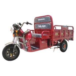 Elektrisches 3-Rad-Hersteller Cargo-Bike 1000w motorisiertes Dreirad elektrisches Hochleistungs-Trike-Motorrad