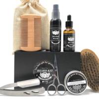 Vente chaude Hommes Cadeaux Ensemble Brosse Mode Style Ensemble Barbe Soins Derma Rouleau Croissance Kits Huiles Baume Sérum Barbe Kit De Croissance